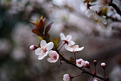 第一后裔推出终极继承者-露娜与全新休闲室系统